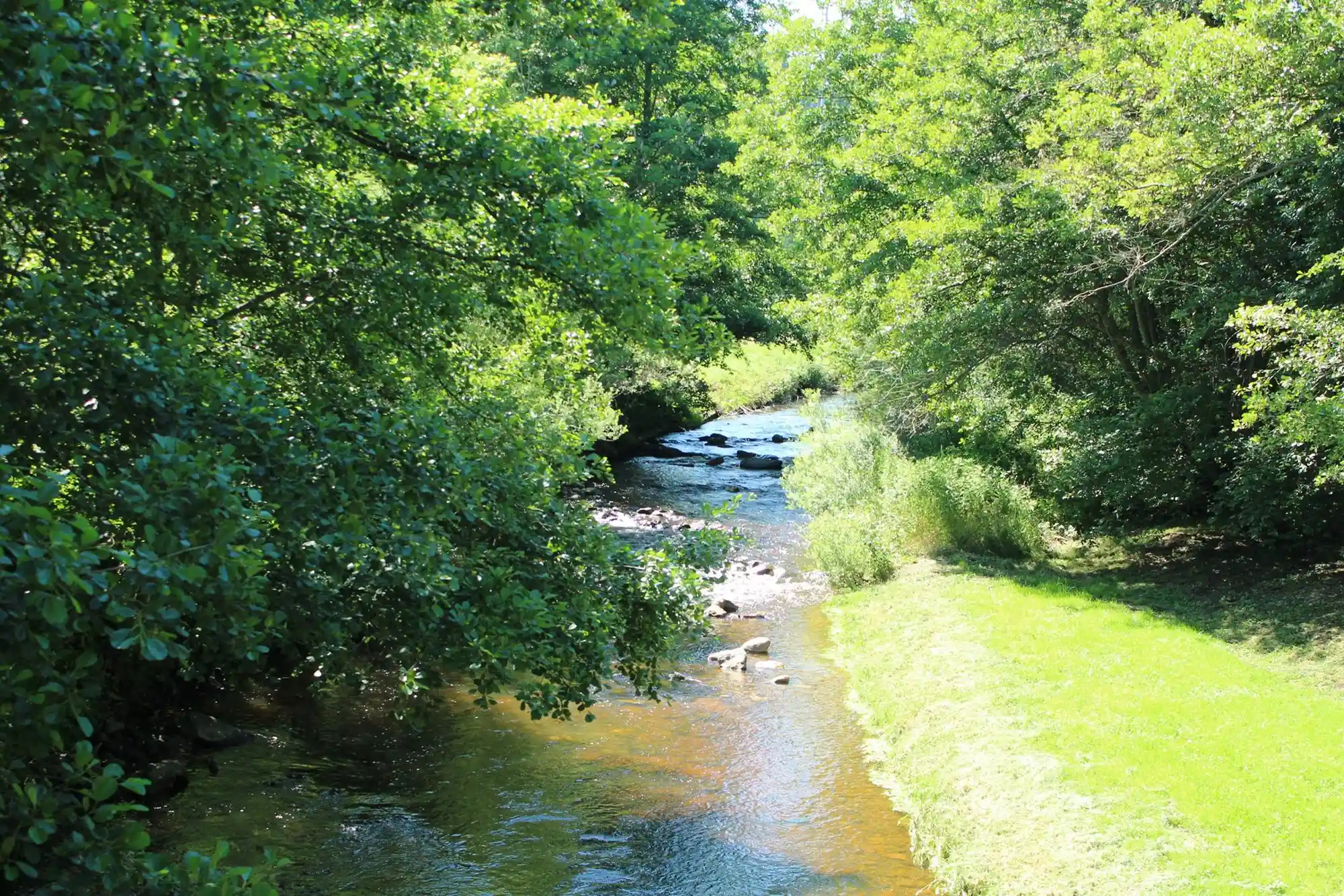 camping auvergne pas cher